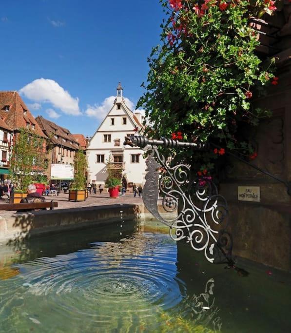 L'Appar'T - Centre Historique De Obernai Apartment Exterior foto