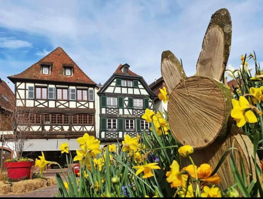 L'Appar'T - Centre Historique De Obernai Apartment Exterior foto