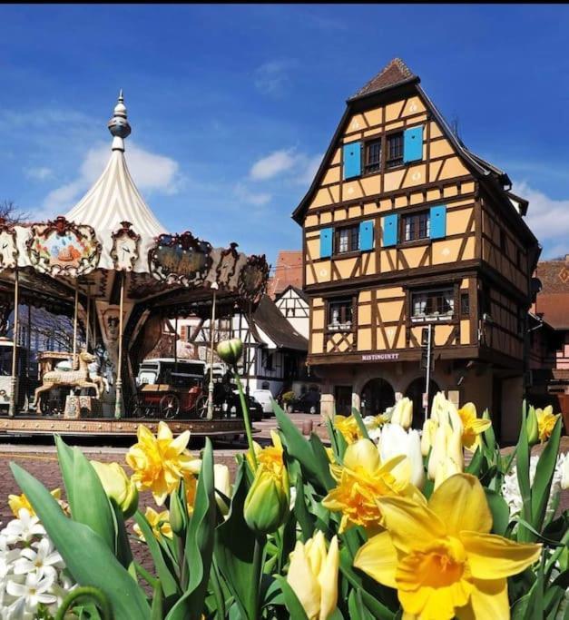 L'Appar'T - Centre Historique De Obernai Apartment Exterior foto